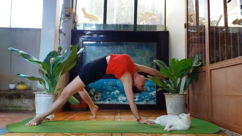 jadethuyyoga